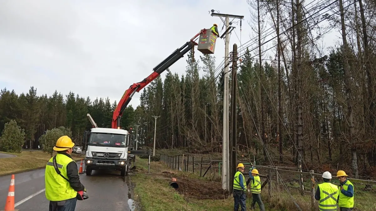 Cuadrilla trabaja en el tendido eléctrico de una zona rural del sur