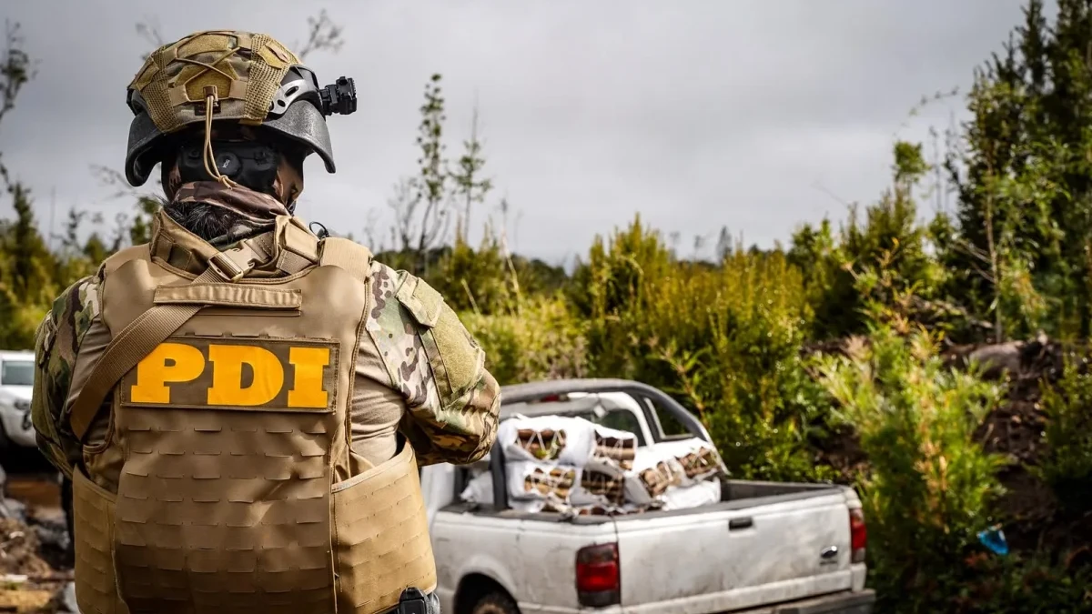 Detective de la PDI de espaldas junto a una camioneta cargada con sacos de leña nativa en un sector boscoso de Puerto Varas