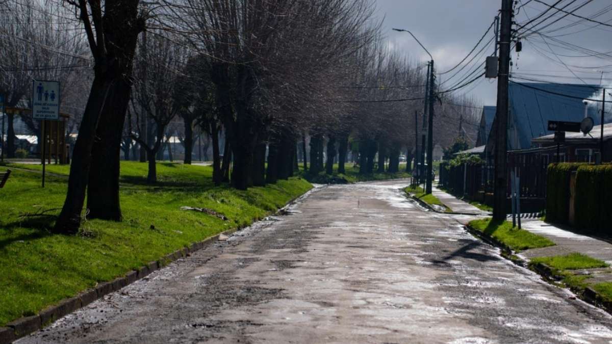 Calzada deteriorada de una calle del sector Francke de Osorno, con árboles a un costado y casas al otro
