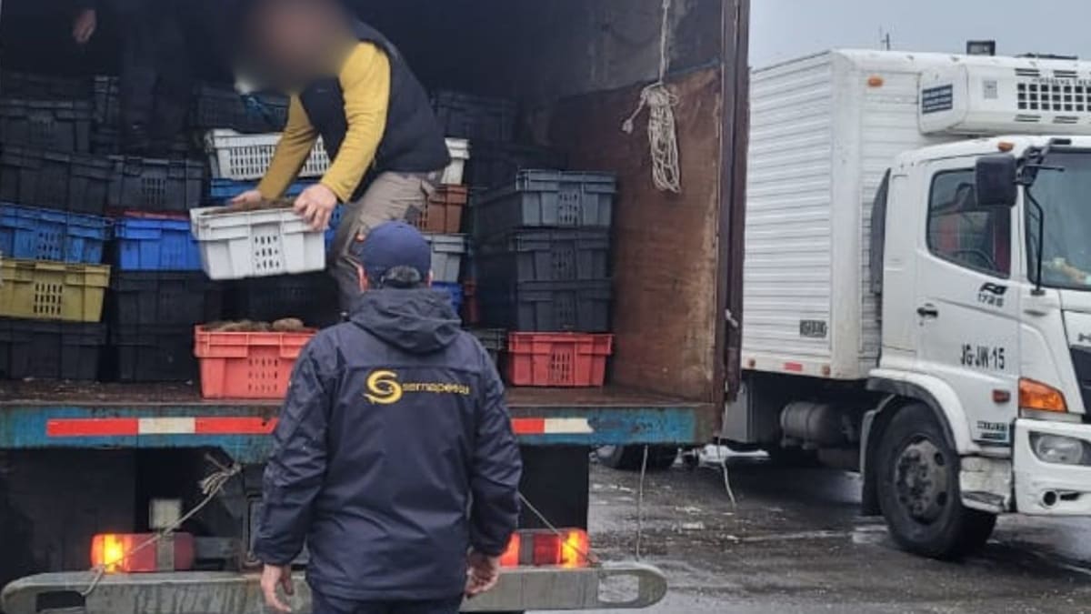 Funcionario de Sernapesca fiscaliza cajas de recursos del mar en un camión durante un operativo de control