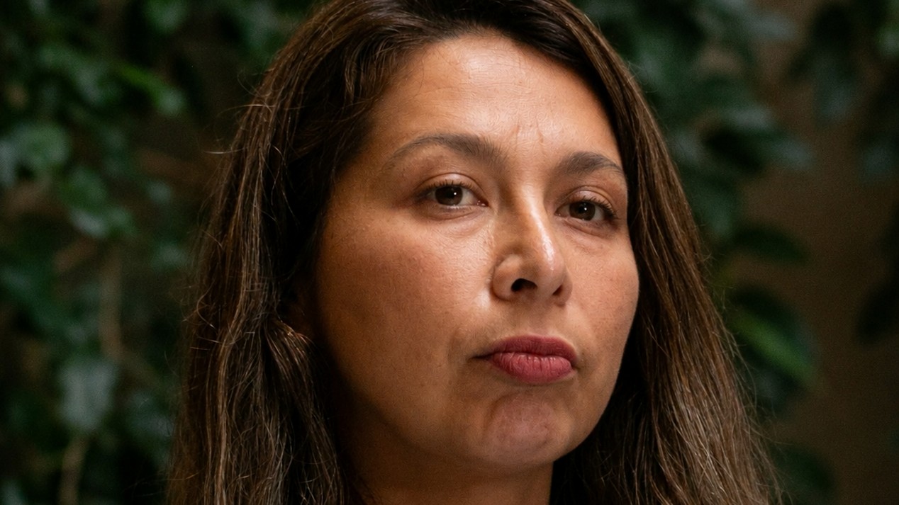 La diputada Paulina Muñoz Minte durante una declaración a la prensa