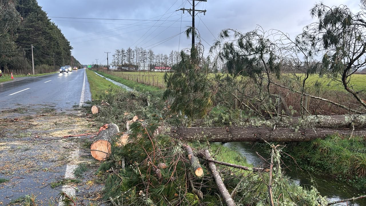 Árboles caídos junto a la Ruta V-200, camino de Frutillar a Tegualda, con los troncos ya cortados a la orilla y vehículos circulando por la calzada despejada