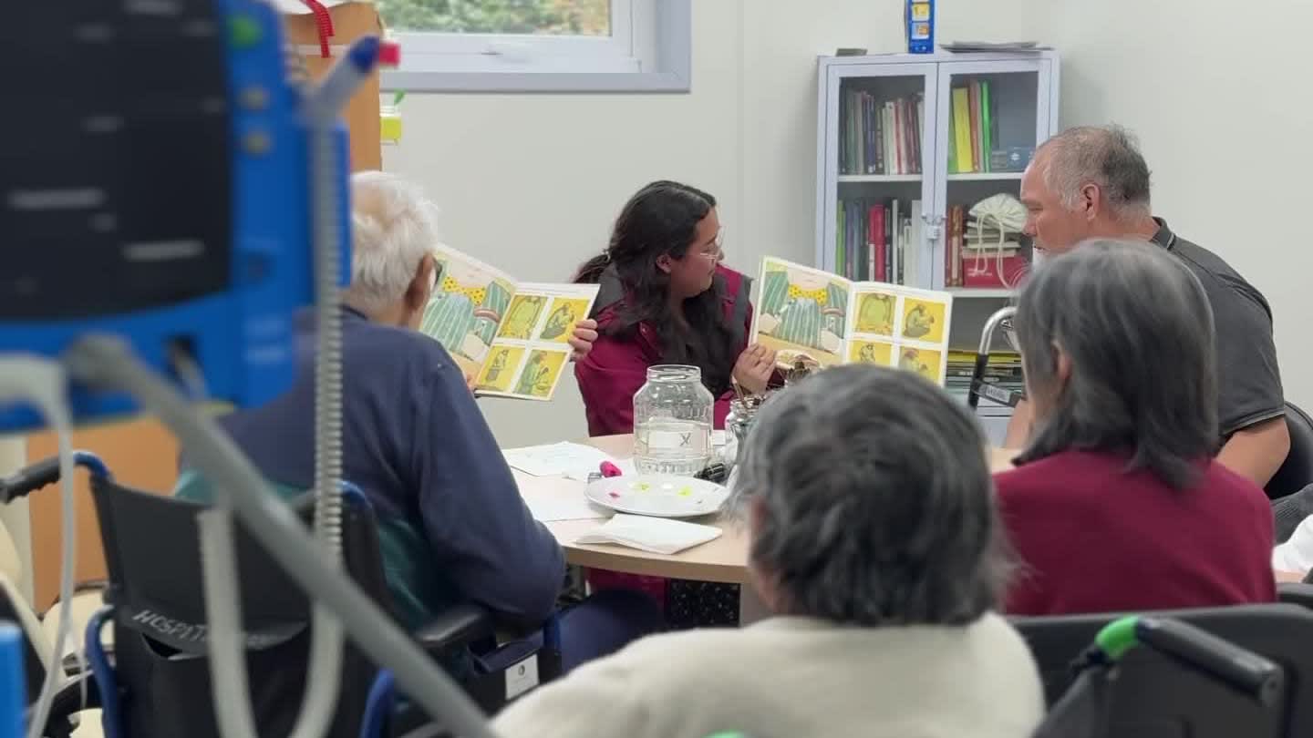 Imagen de archivo: profesional de la salud dirige una actividad grupal con pacientes en Frutillar