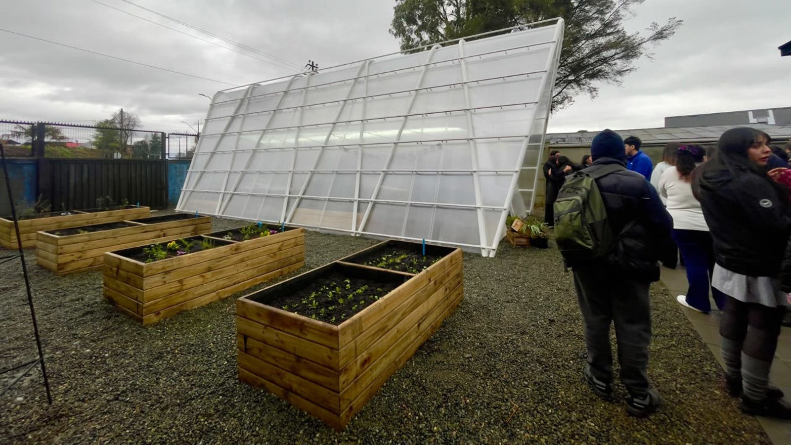 Invernadero y huertos en cajones de madera en el patio de un liceo de la provincia de Llanquihue, con estudiantes alrededor