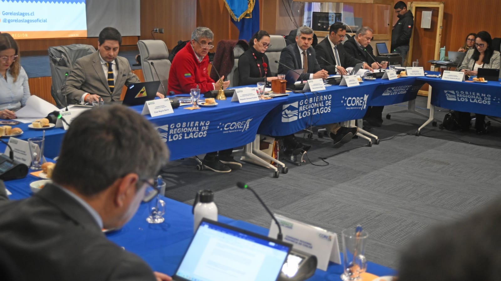 Sesión del Consejo Regional de Los Lagos, imagen de archivo