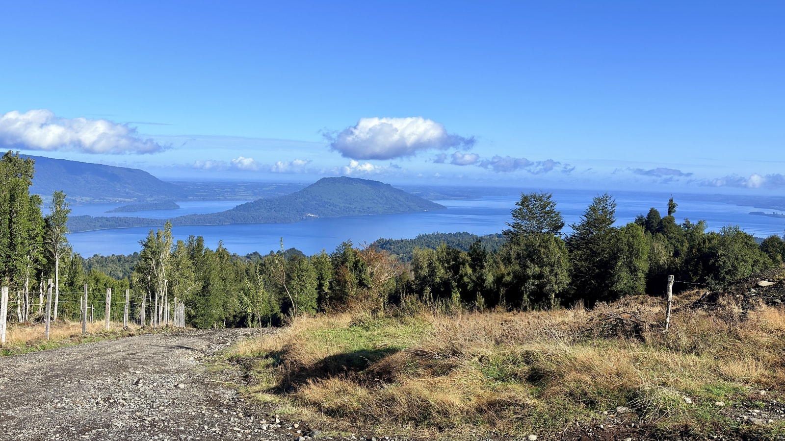 Vista del lago Rupanco desde un camino de ripio entre bosques, con una isla al centro