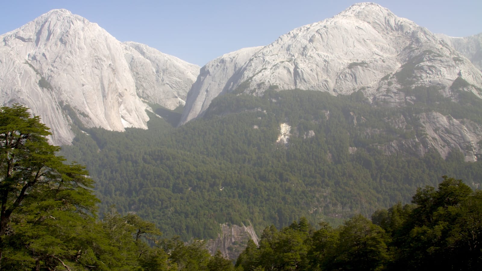 Paredes de granito del valle Cochamó sobre un bosque nativo, con cielo despejado