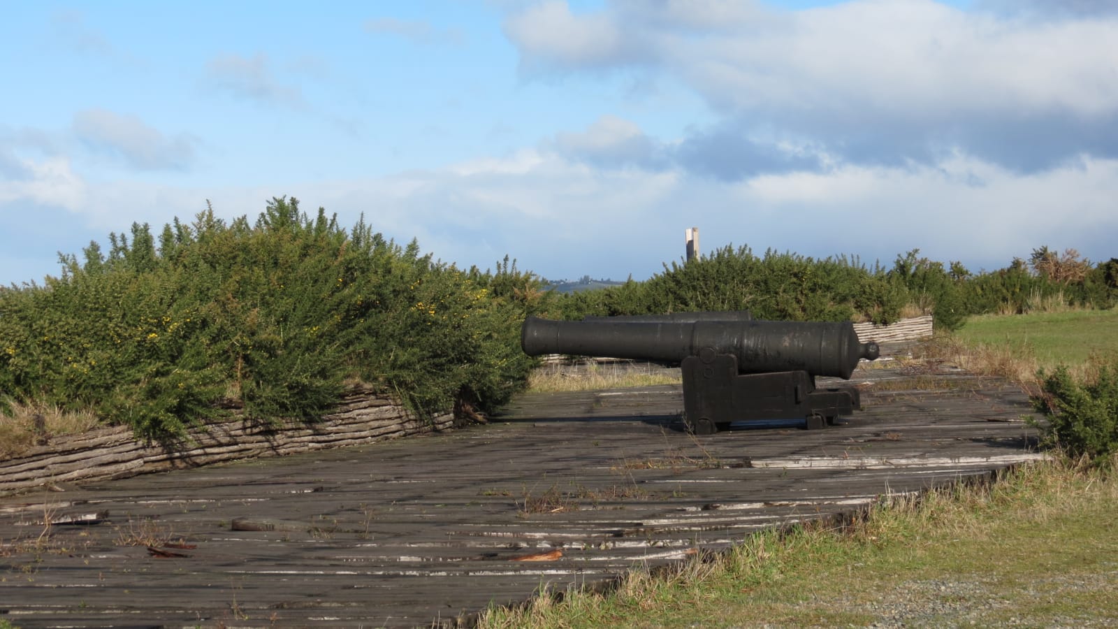 Matorral de chacay junto a un cañón del fuerte Tauco, en Chonchi, Chiloé