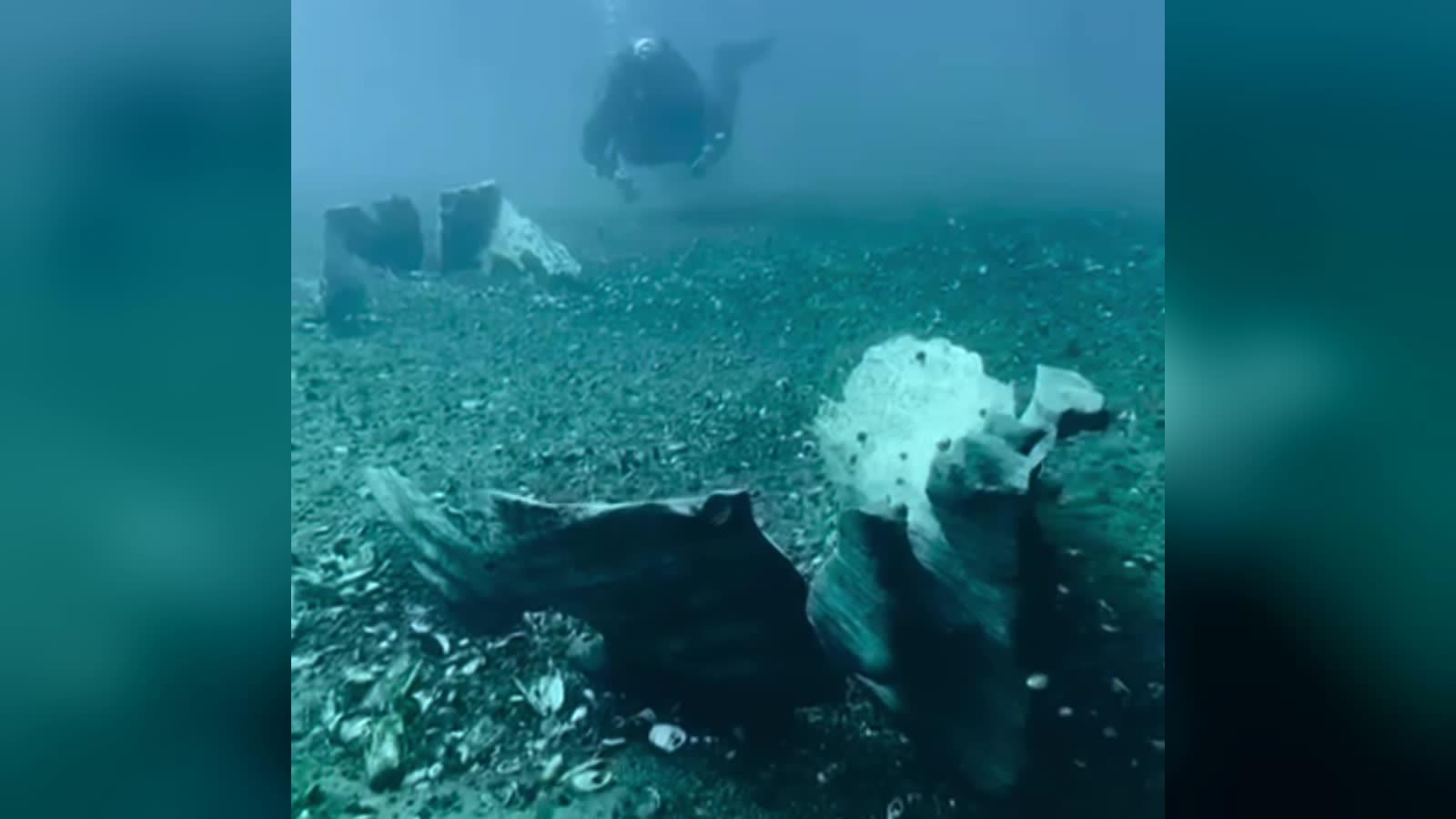 Un buzo nada sobre los restos de madera de una canoa ancestral en el fondo del lago Llanquihue, en Frutillar