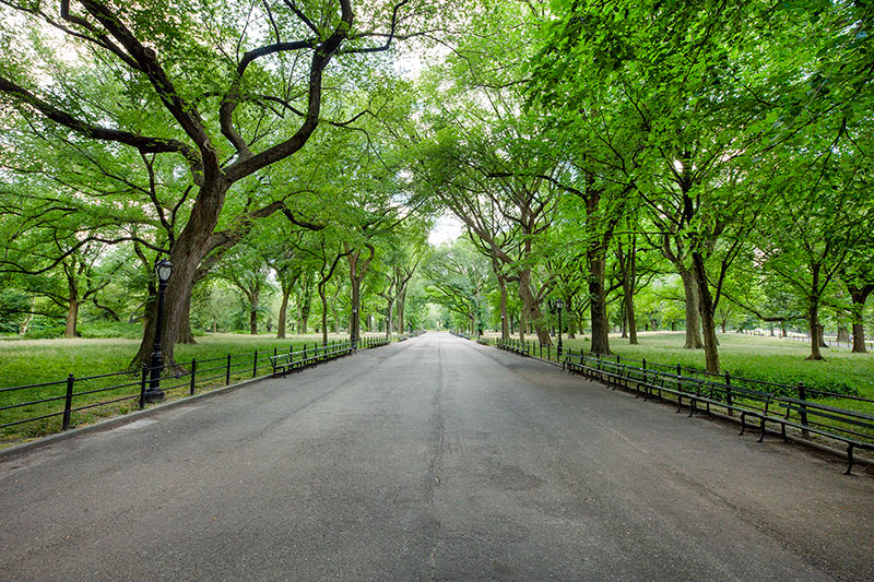 Central Park