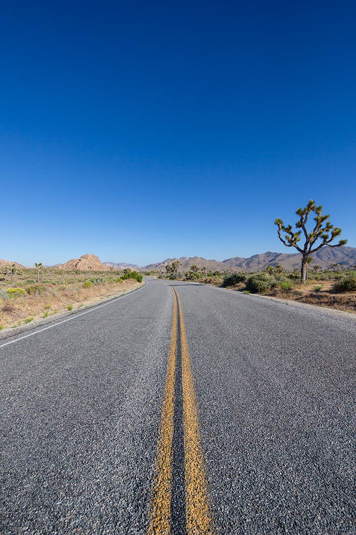 Desert Road