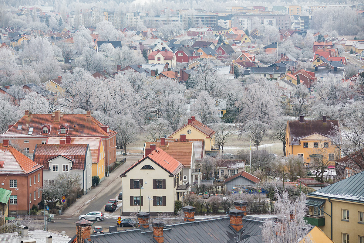 Morning Freeze