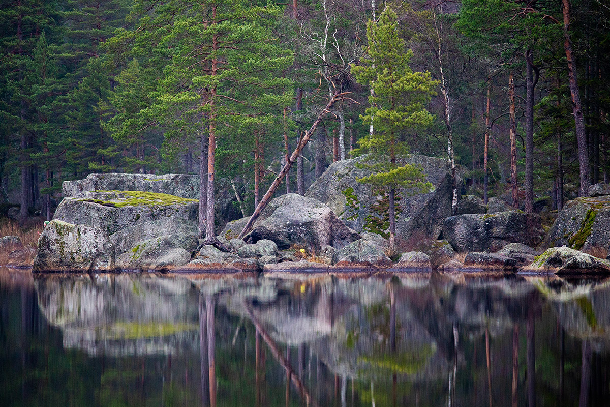 Lake Reflection 1
