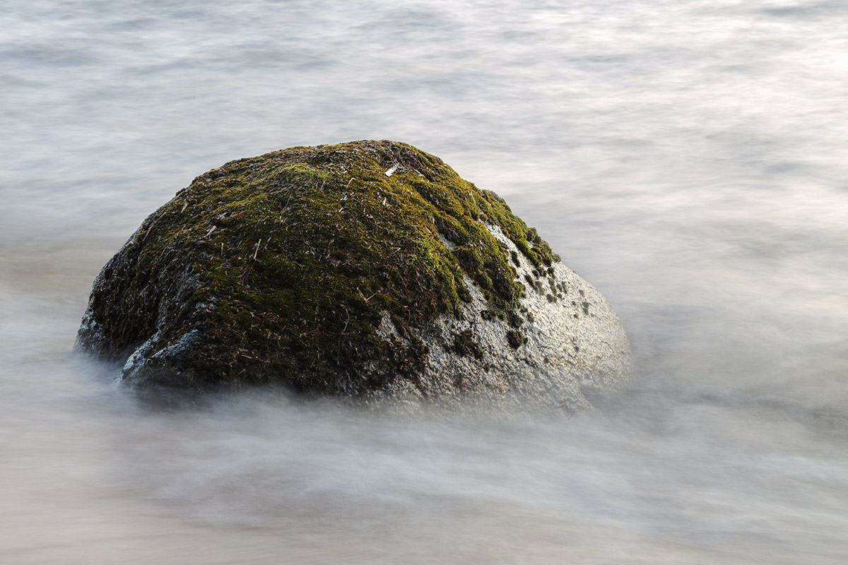 Motion Rock
