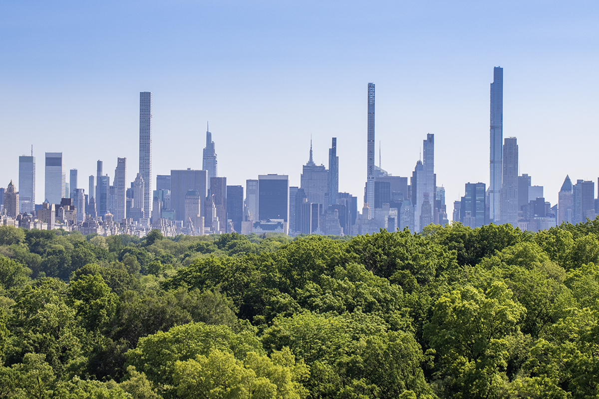 Skyline From North