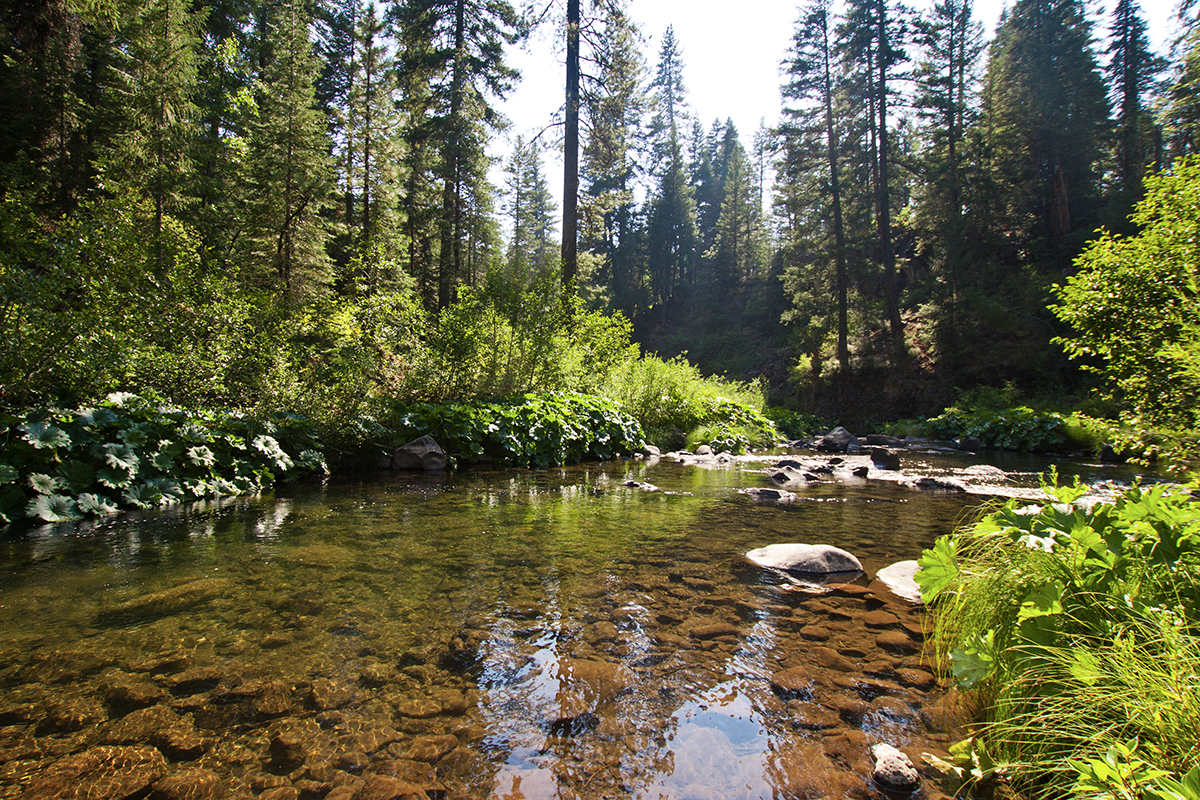 McCloud