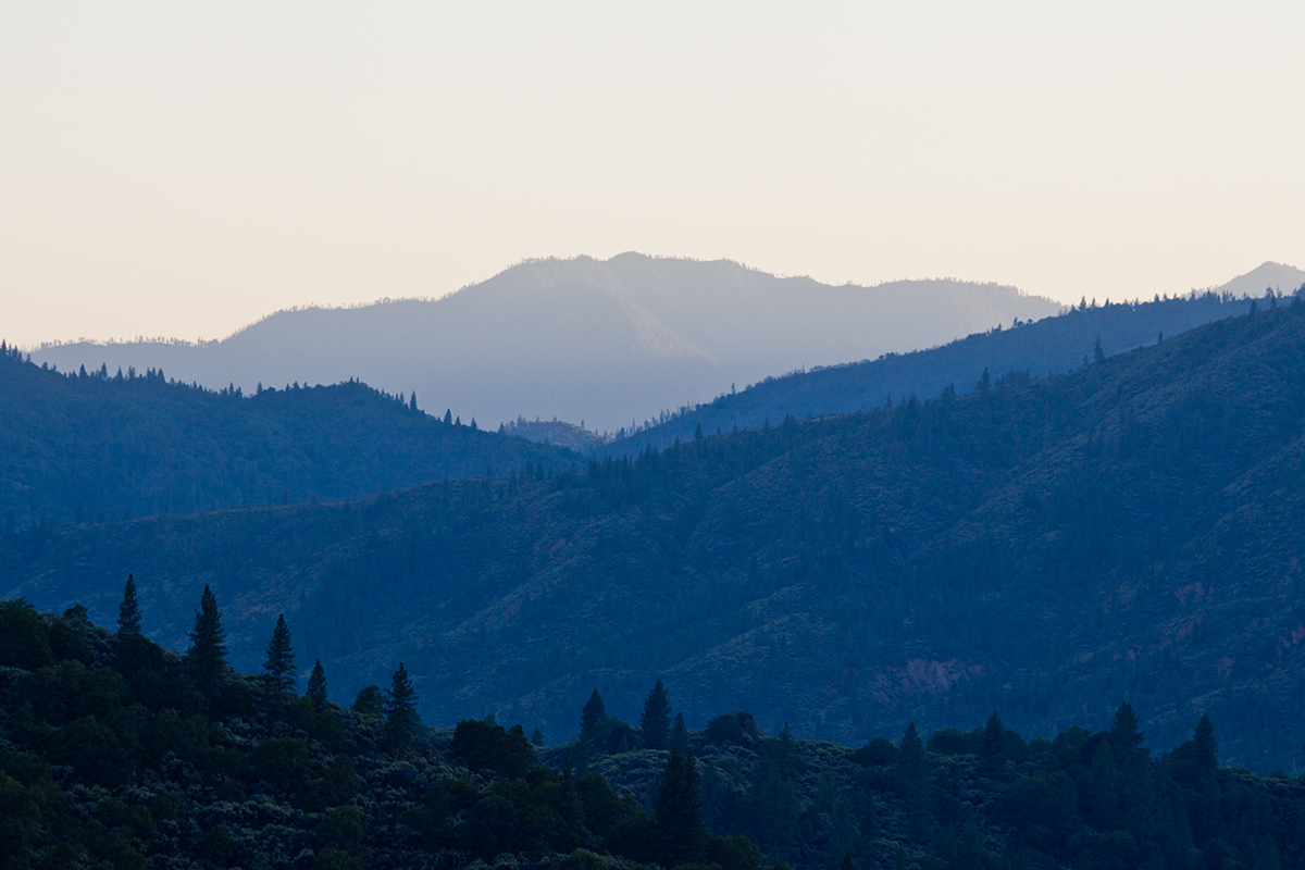 Shasta Hills