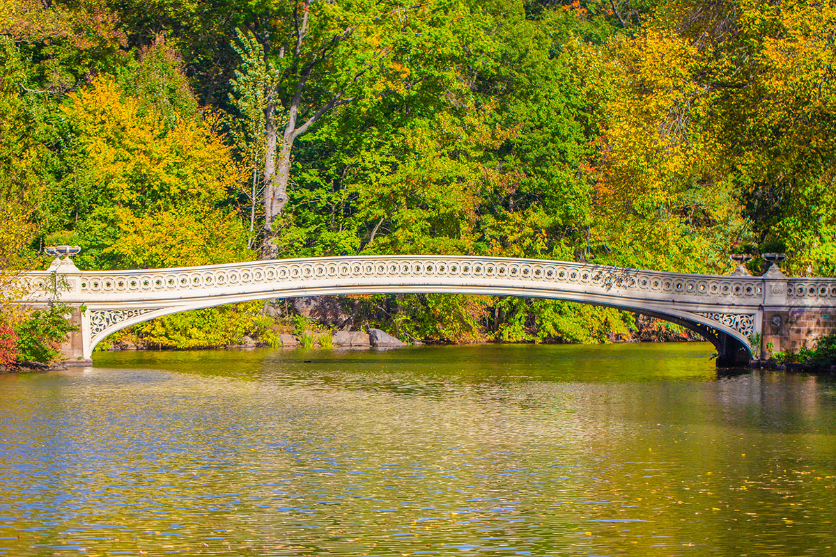 Park Bow
