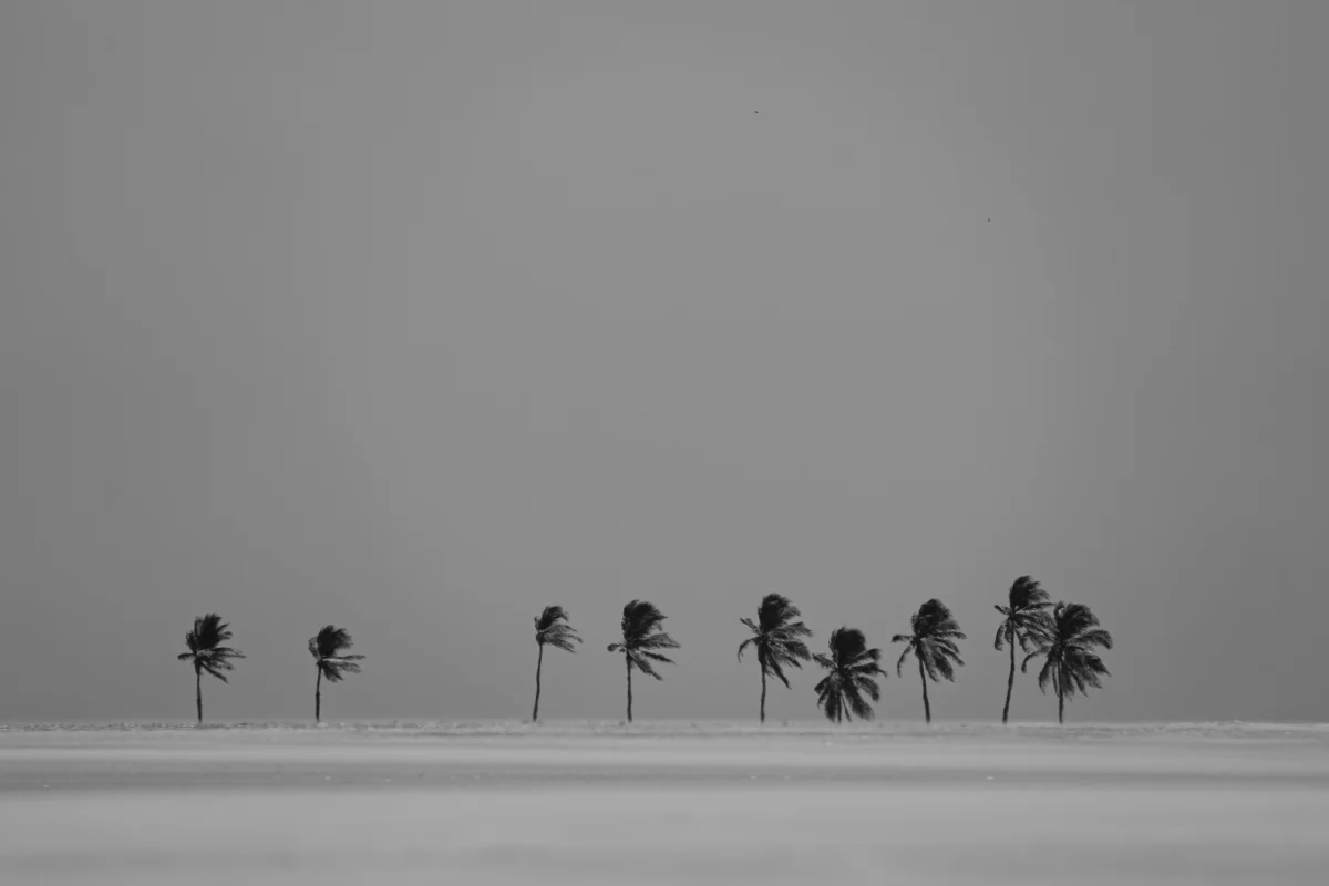 Coqueiros Wind - Arpoador, Brasil
