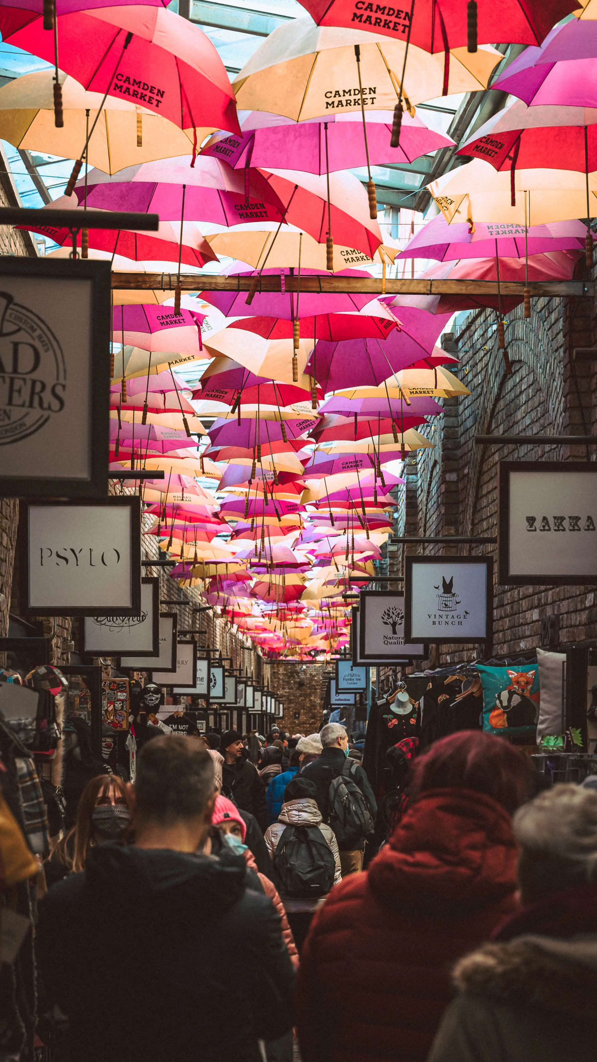 Galeria de imagenes tomada por julicruz