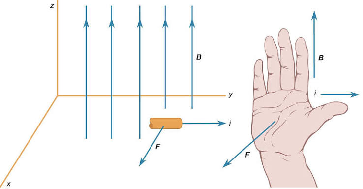 Ampere's Law & EM Theory icon