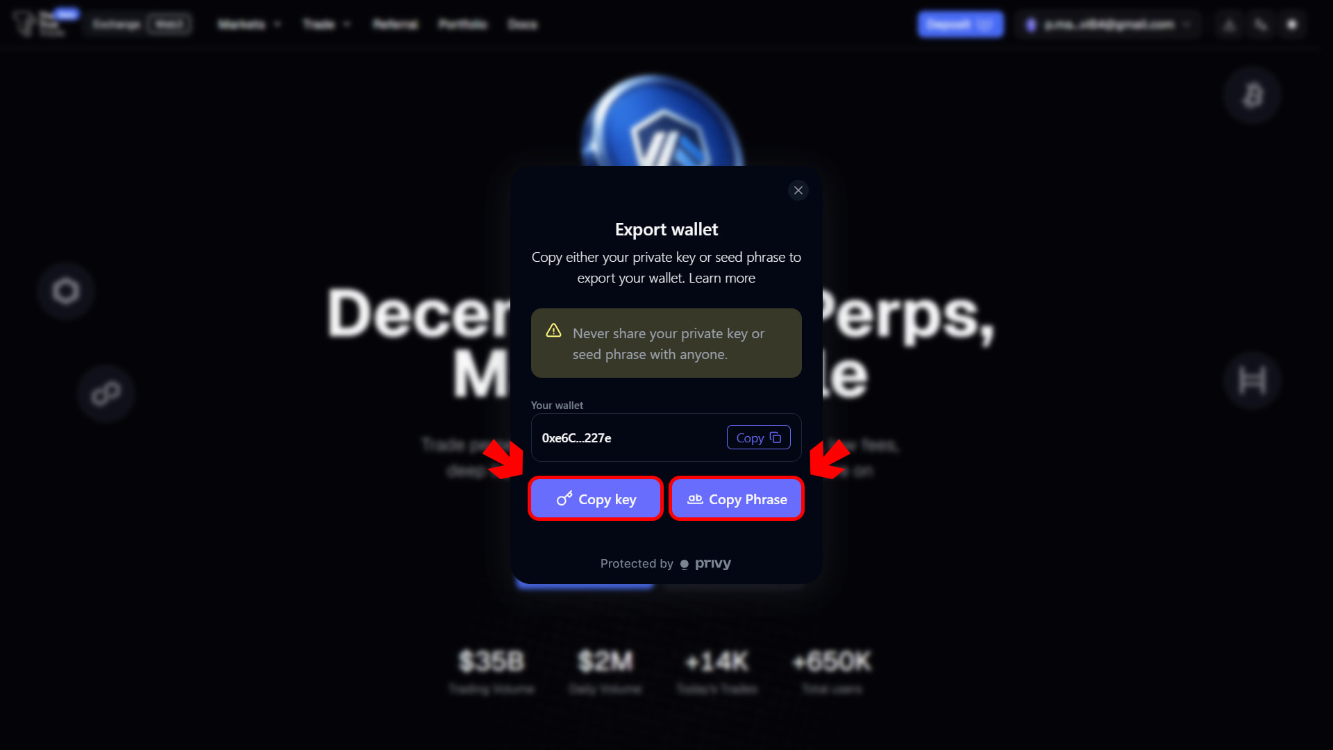 Export wallet dialog — copy your private key or seed phrase