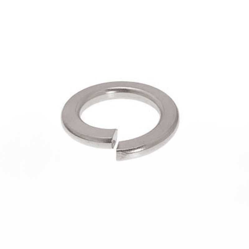 M6 Spring Washer SS 304