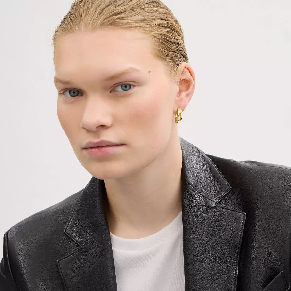 Double Hoop Earrings 2