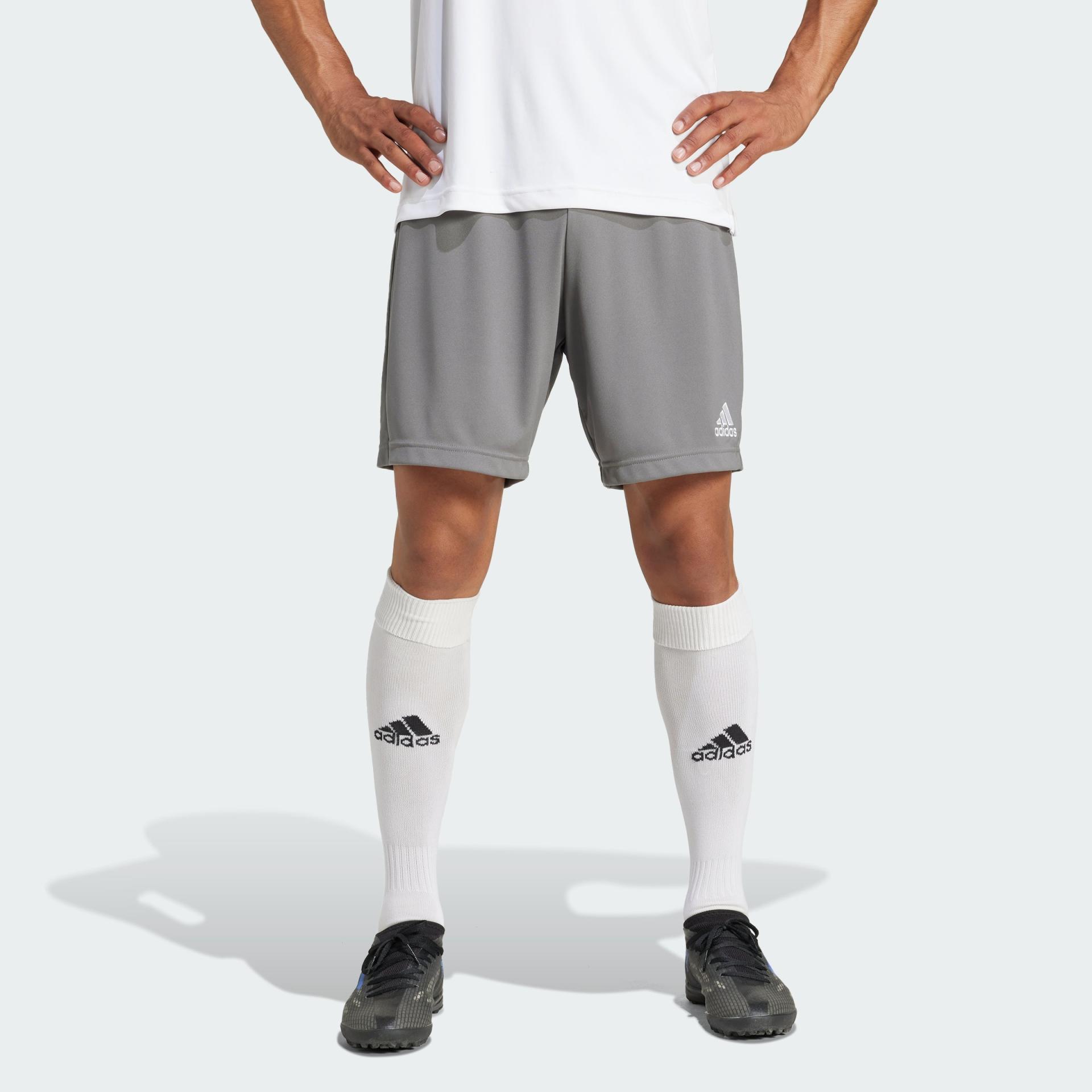 Adidas Entrada 22 Shorts Men
