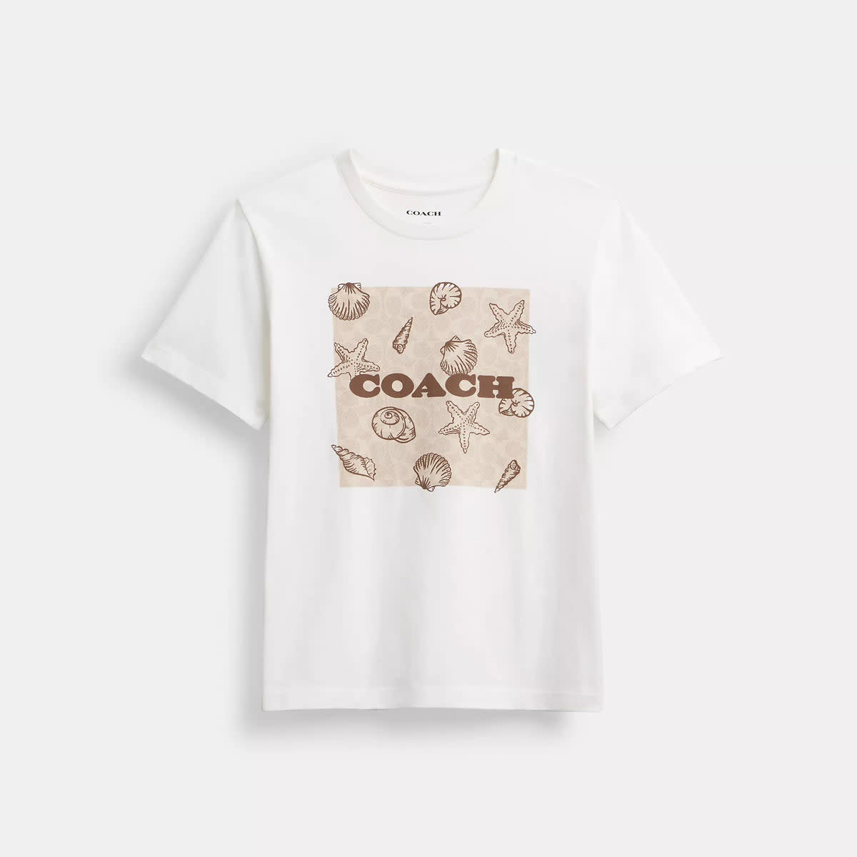 Shell Signature Square Classic T Shirt In Organic Cotton