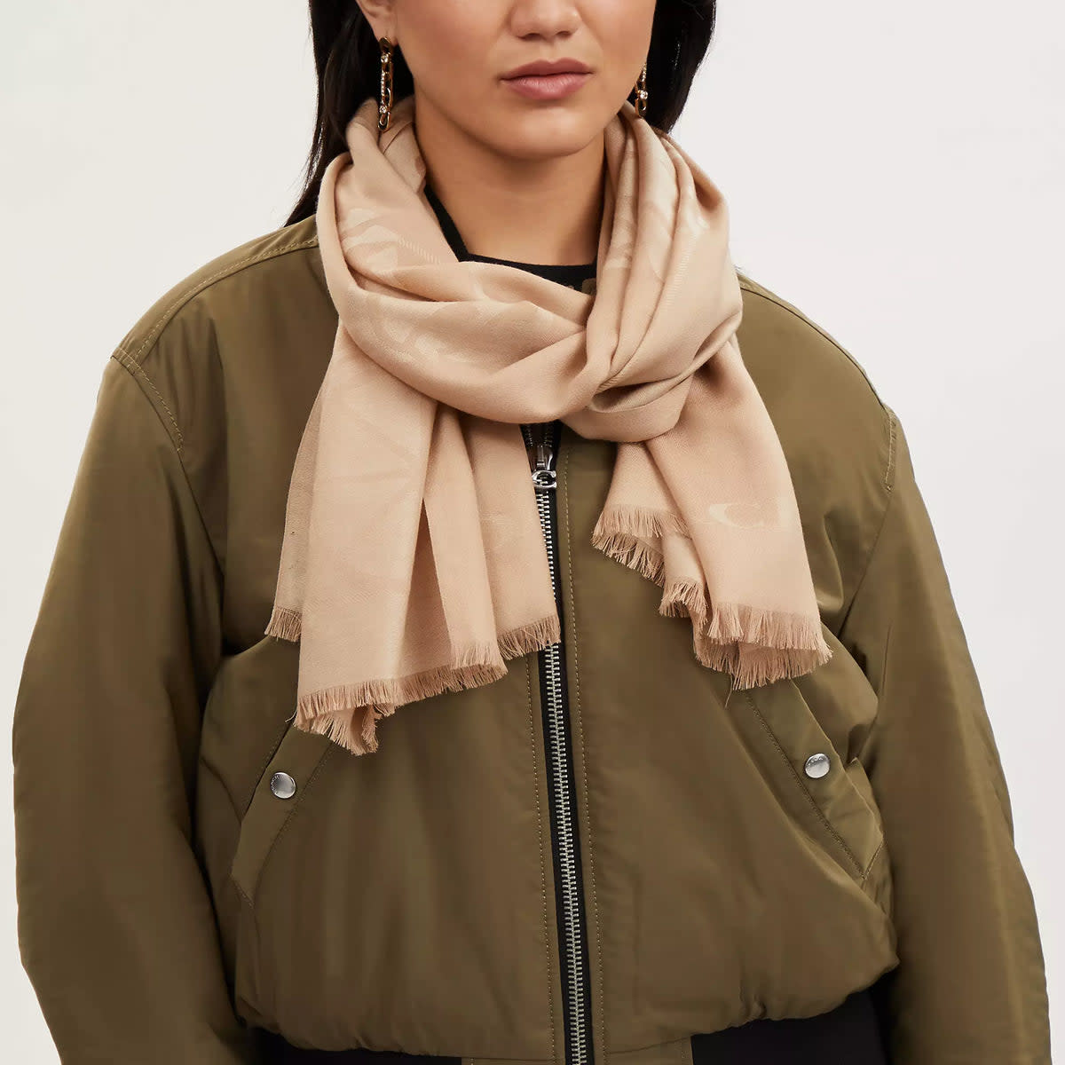 Jumbo Horse And Carriage Wrap 2