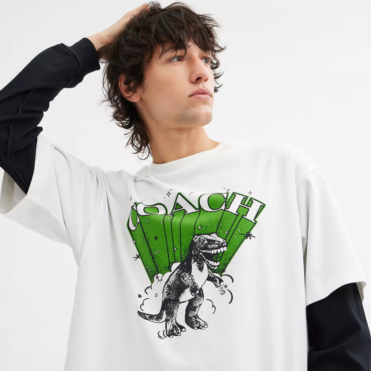 Dinosaur T Shirt 4