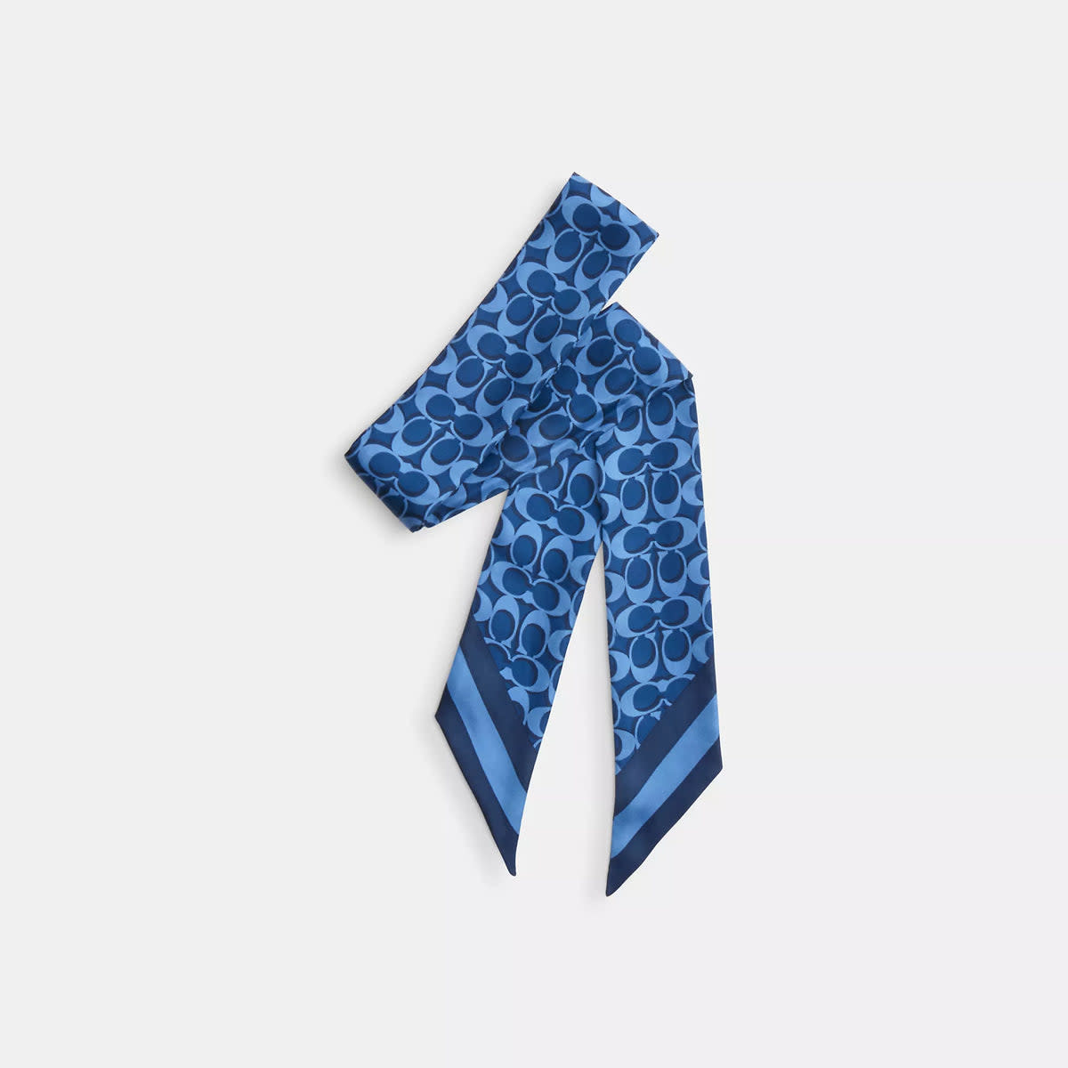 Signature Silk Skinny Scarf 3