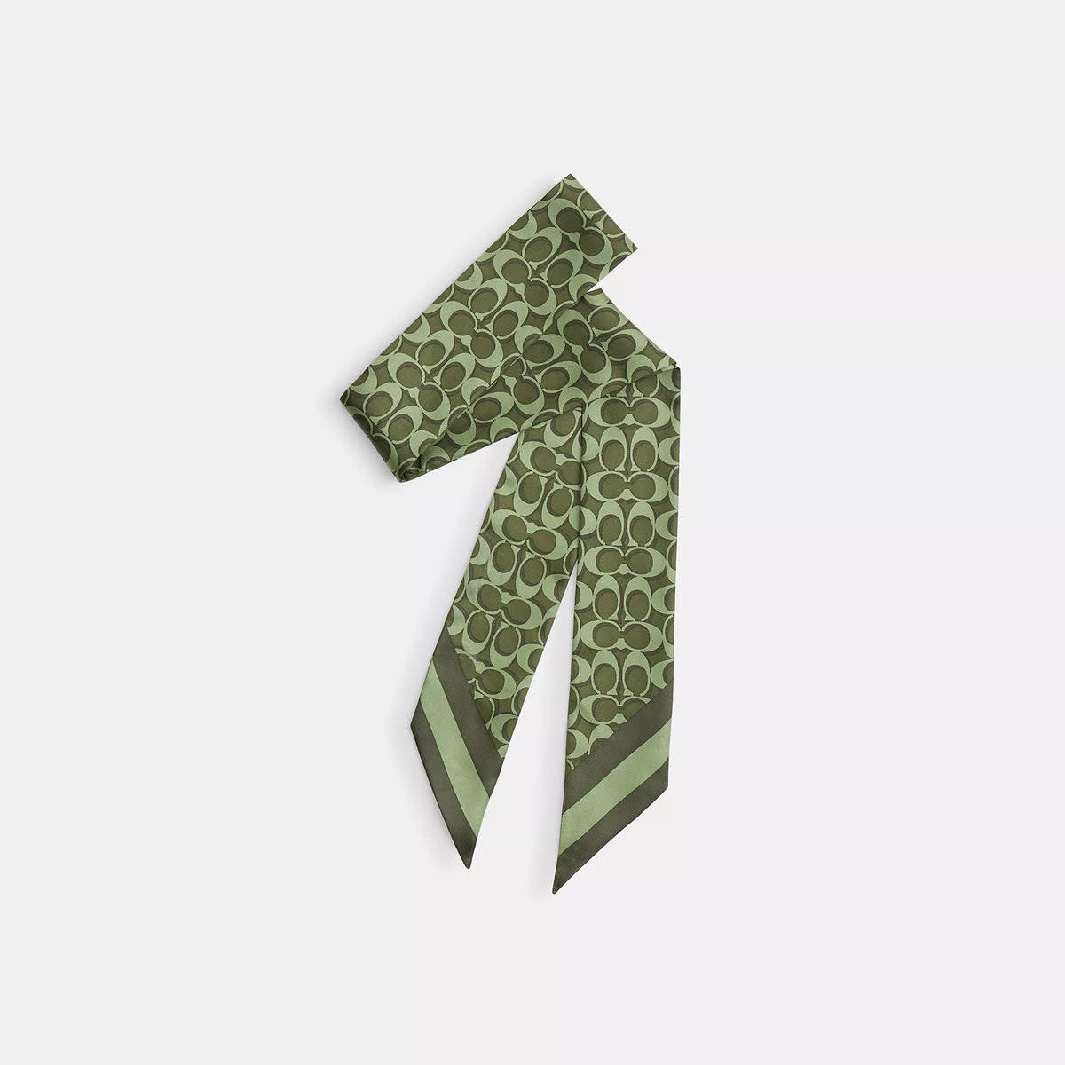 Signature Silk Skinny Scarf 5