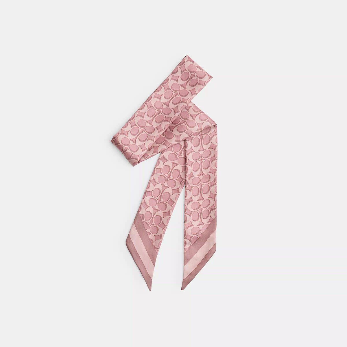 Signature Silk Skinny Scarf 4