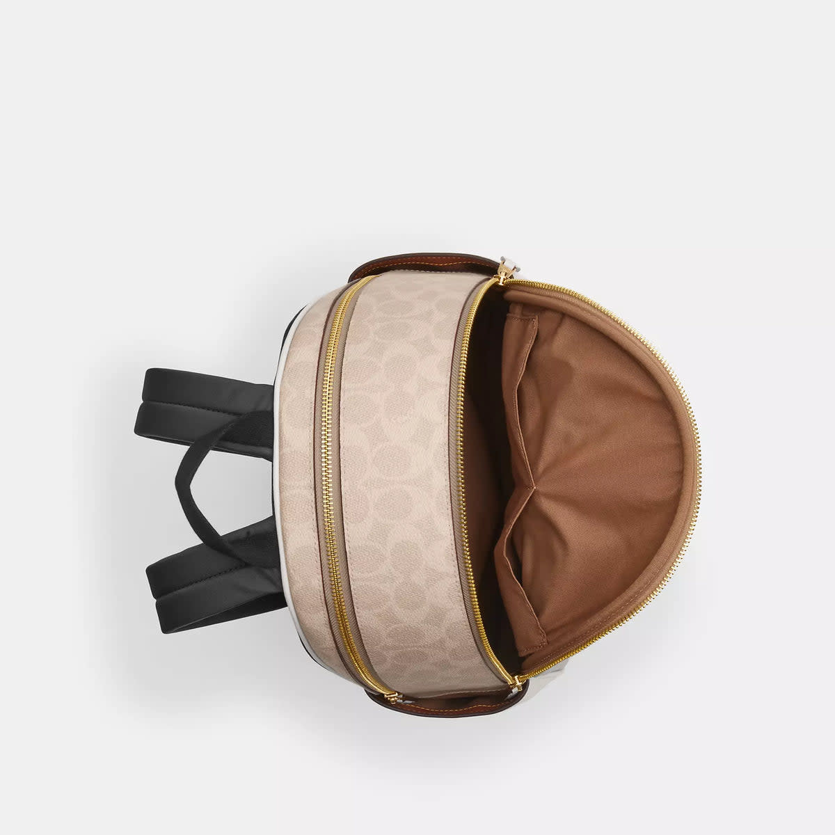 Court Backpack In Signature Canvas 2