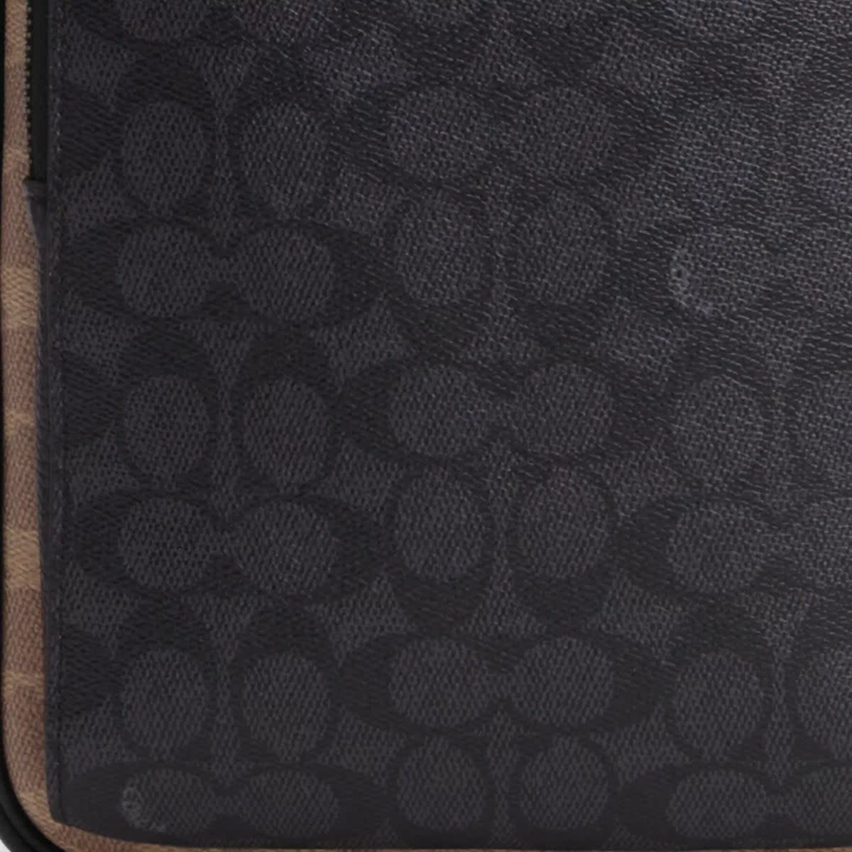 Ethan Pack In Blocked Signature Canvas 4