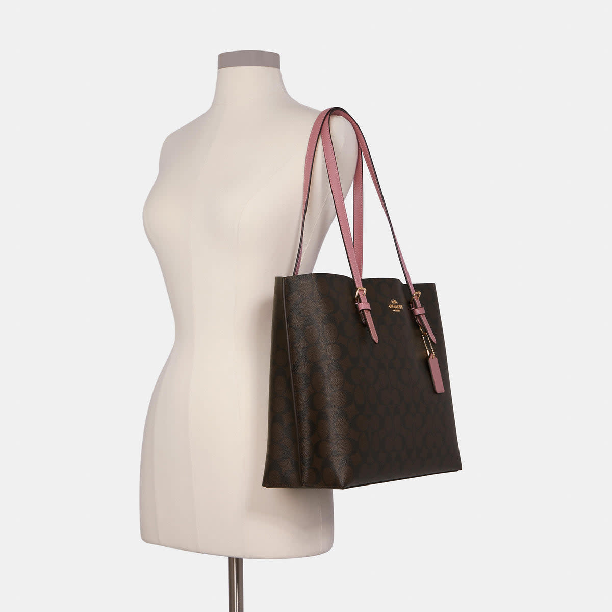 Mollie Tote In Signature Canvas 3