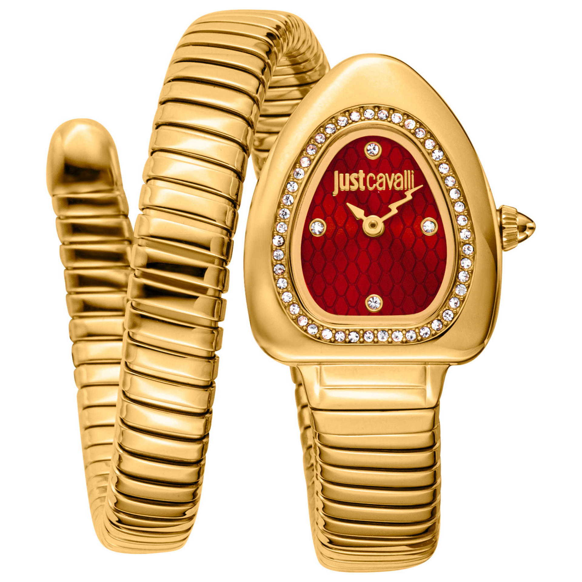 Just Cavalli Wait Women's Watch JC1L249M0025