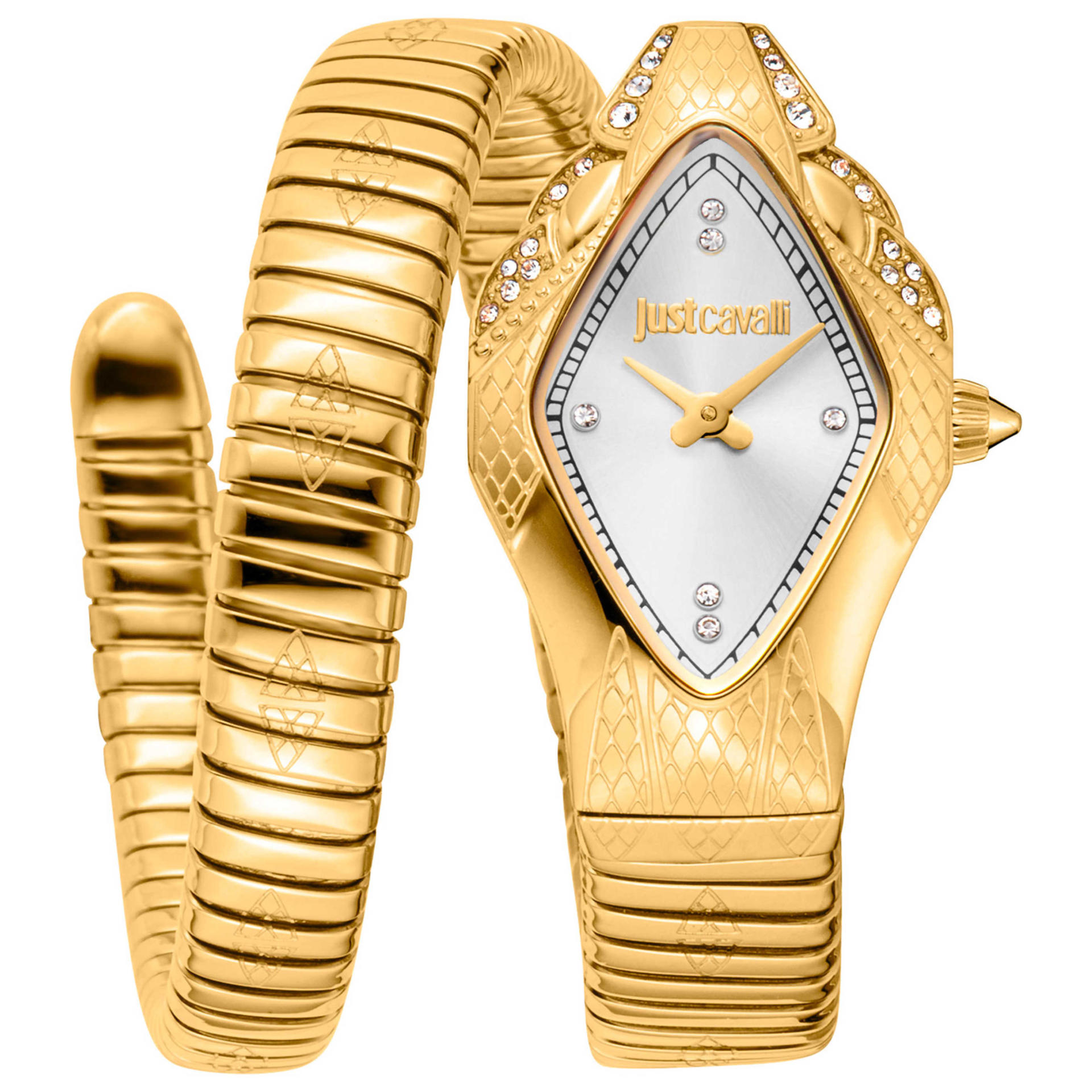 Just Cavalli Ferocious Women's Watch JC1L306M0035