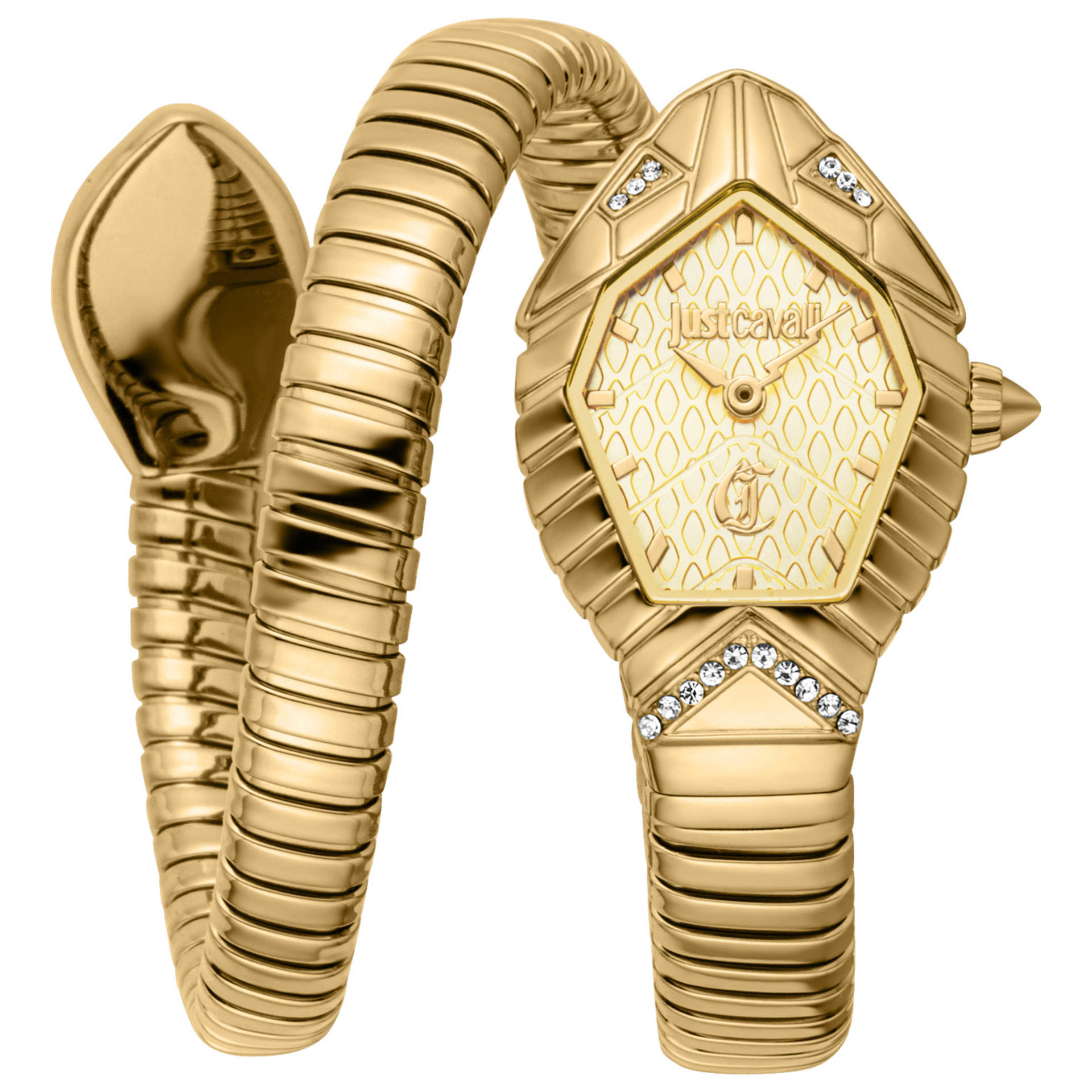 Just Cavalli Women's Watch JC1L356M0025