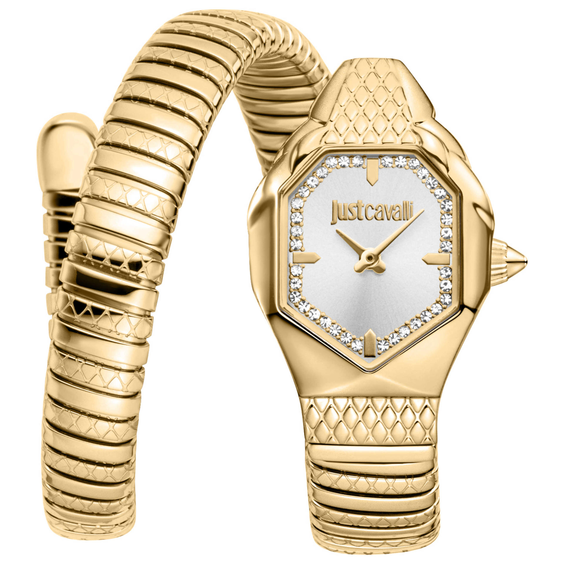 Just Cavalli Women's Watch JC1L369M0035