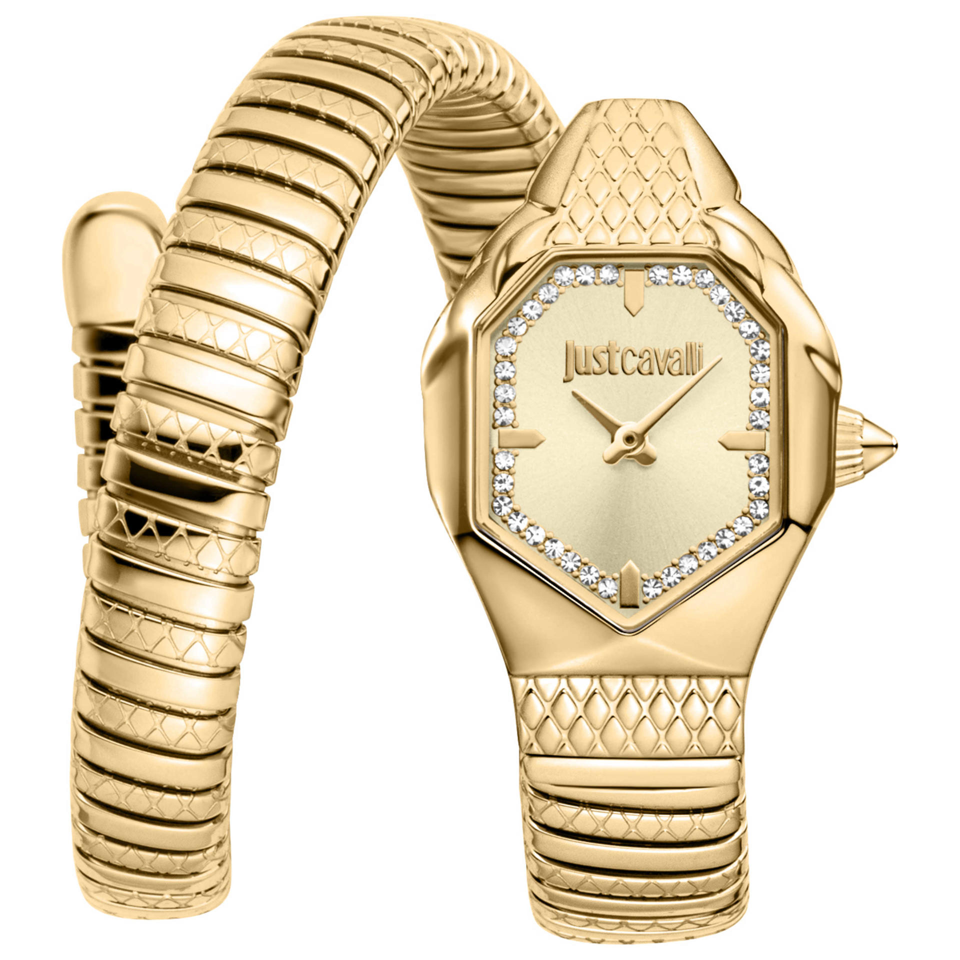 Just Cavalli Women's Watch JC1L369M0045
