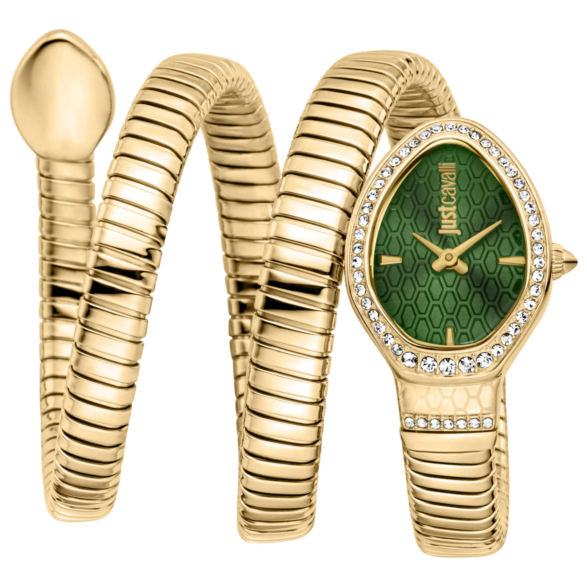 Just Cavalli Women's Watch JC1L372M0035