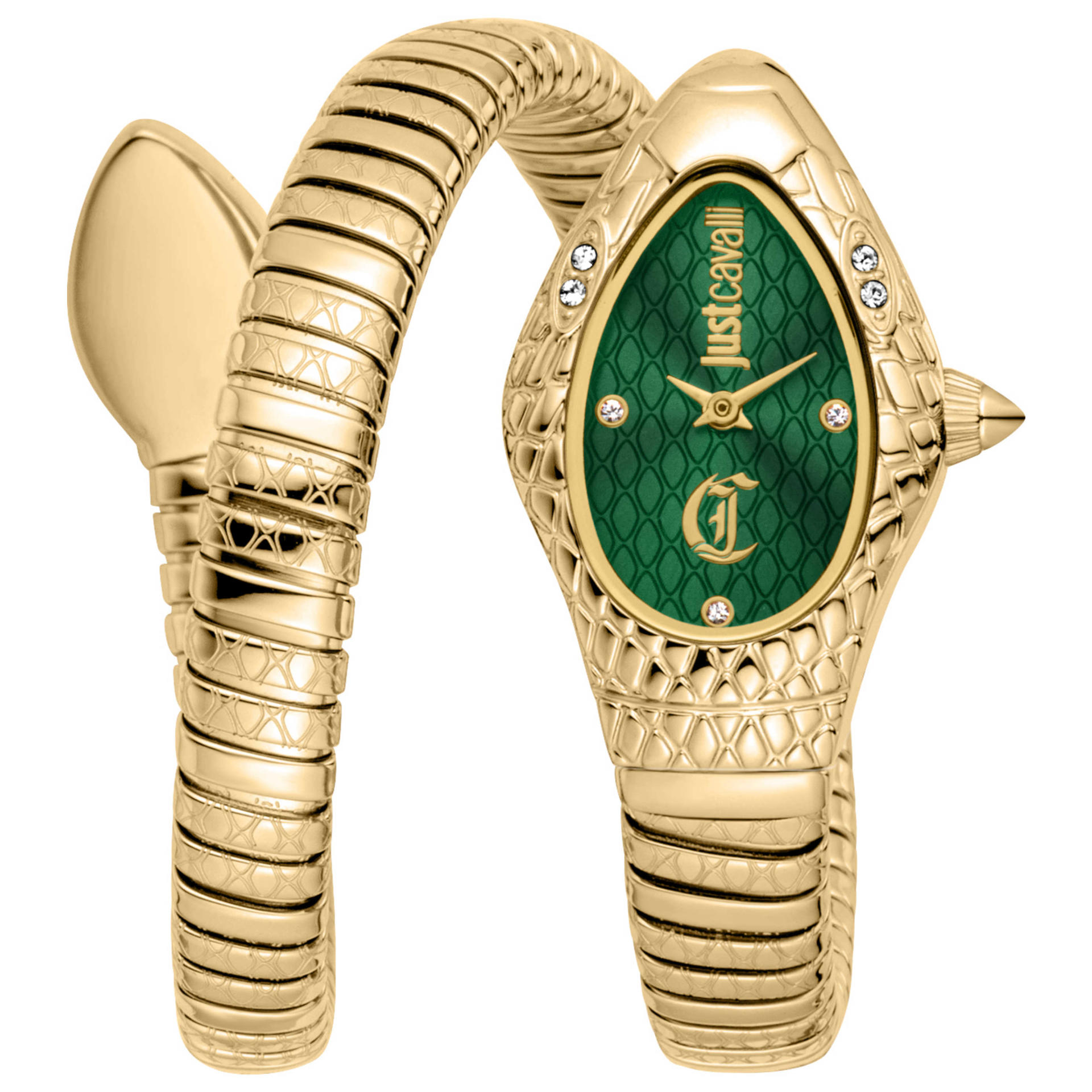 Just Cavalli Women's Watch JC1L373M0035