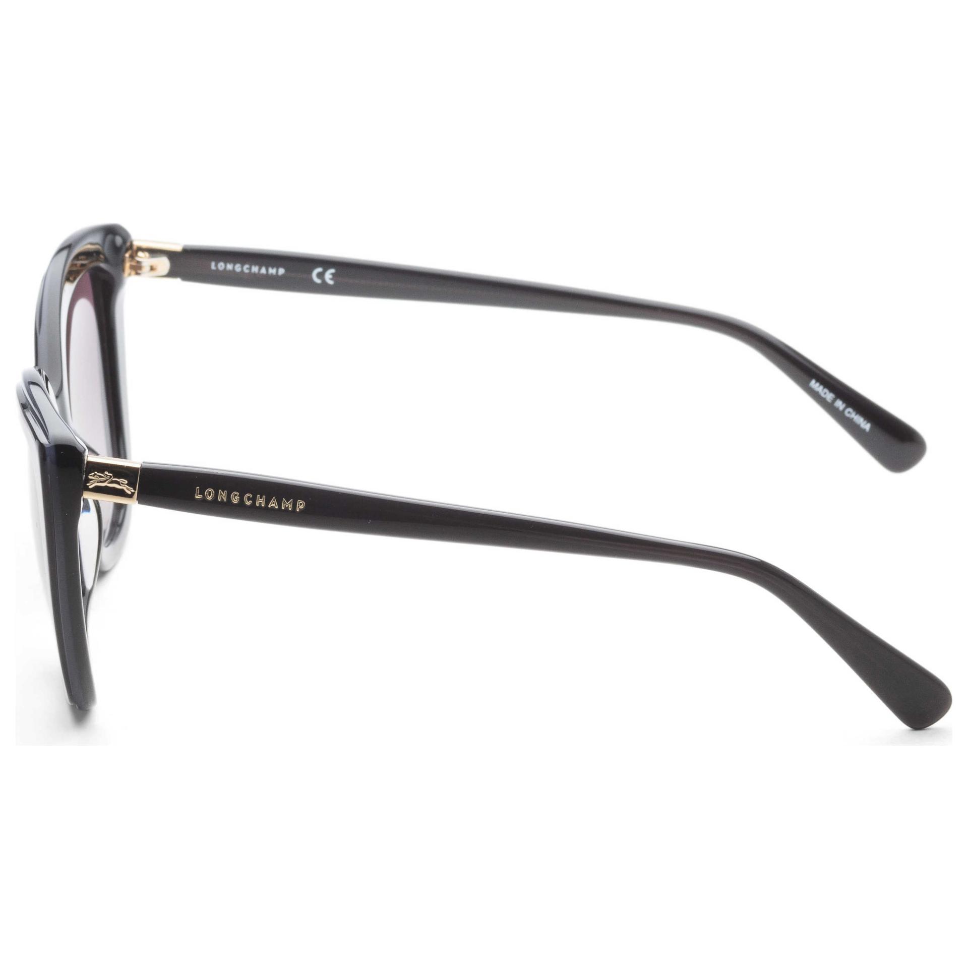 Longchamp Women's Sunglasses LO695S-001 2