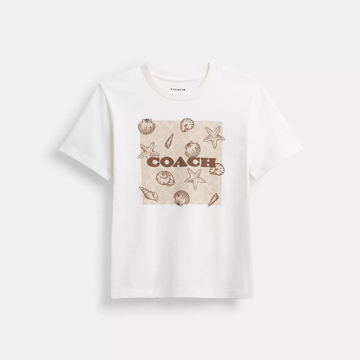 Shell Signature Square Classic T Shirt In Organic Cotton