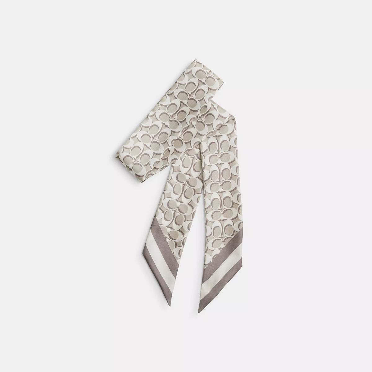 Signature Silk Skinny Scarf