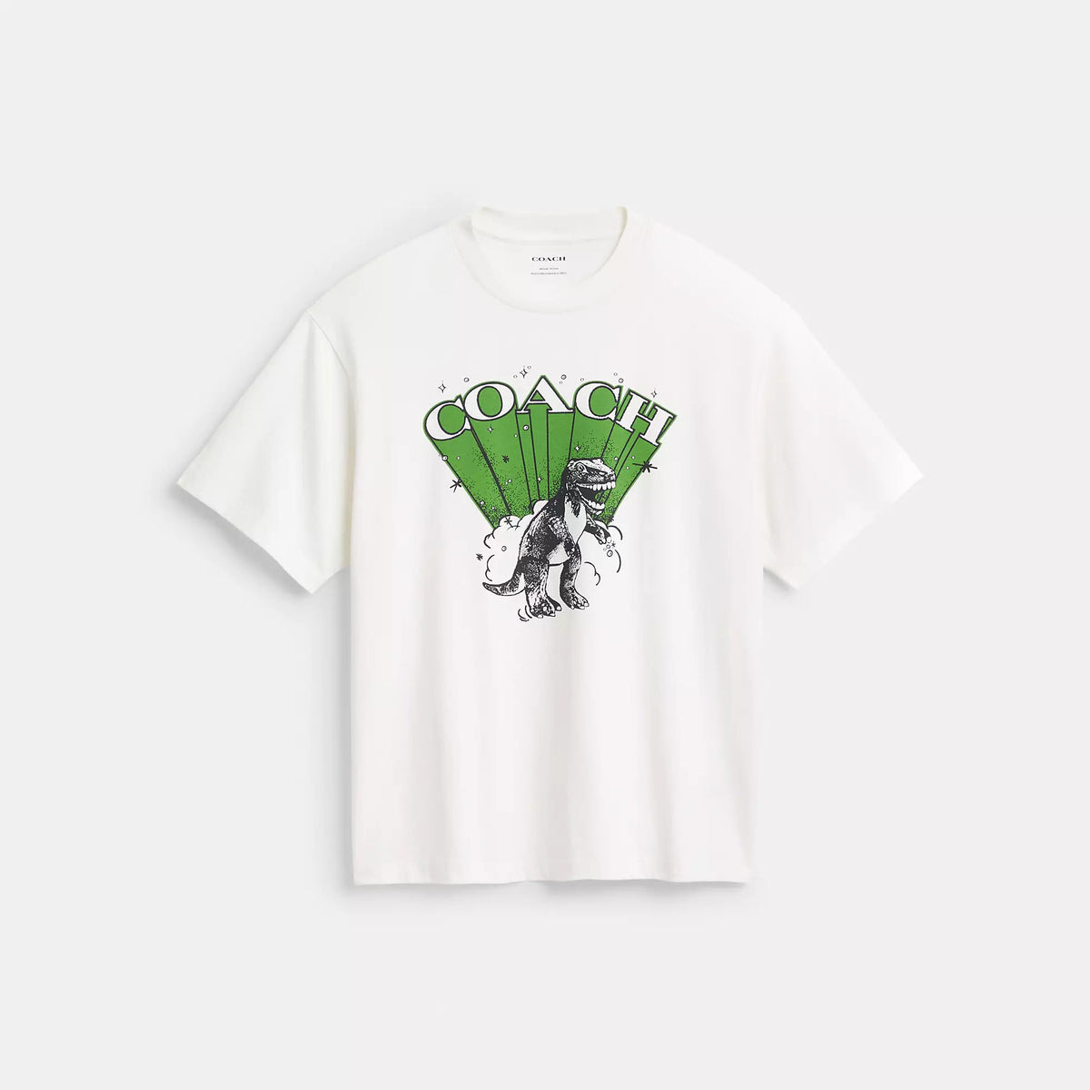 Dinosaur T Shirt