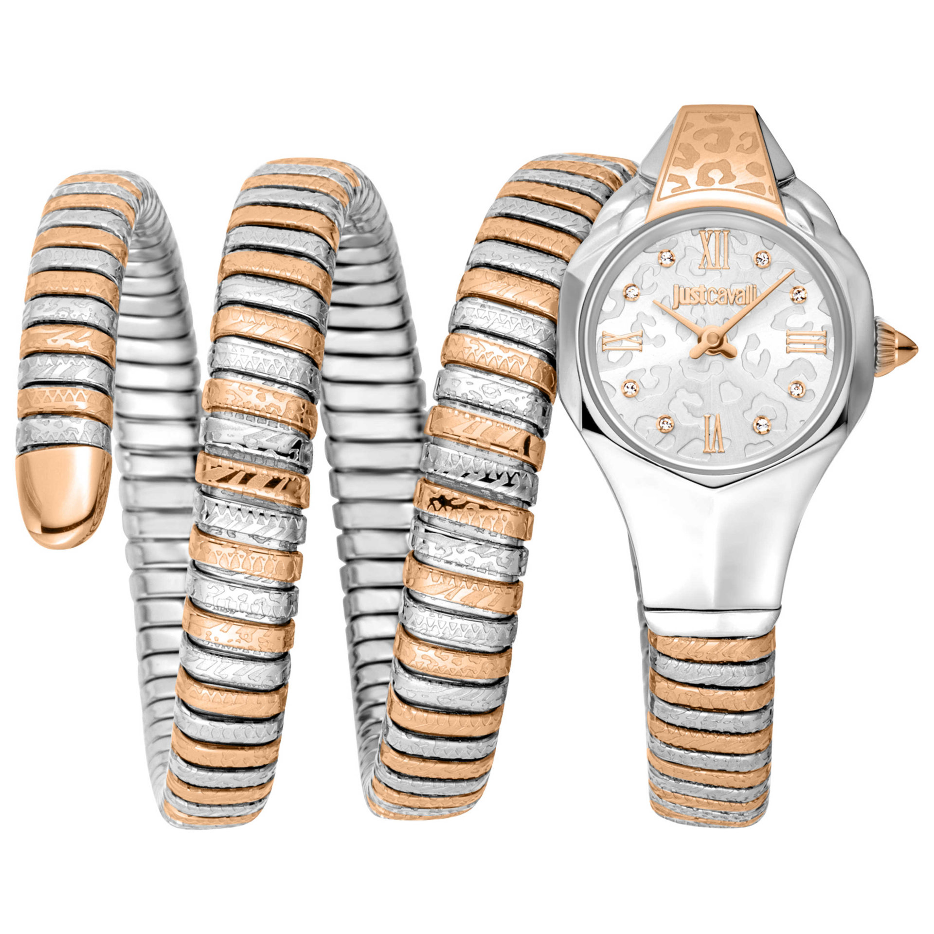 Just Cavalli Women's Watch JC1L271M0065